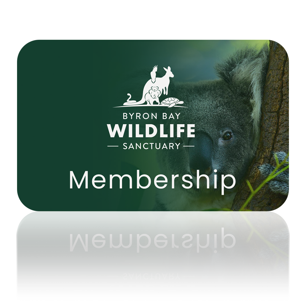 Byron Bay Wildlife Sanctuary | Membership